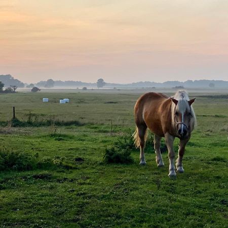Kleine Auszeit Leilighet Kluis Eksteriør bilde